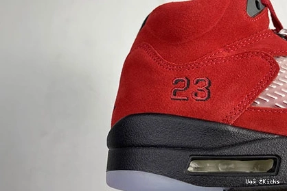 Reliable 5 DD0587-600 595 “Raging Jordan Air Bull” 0717